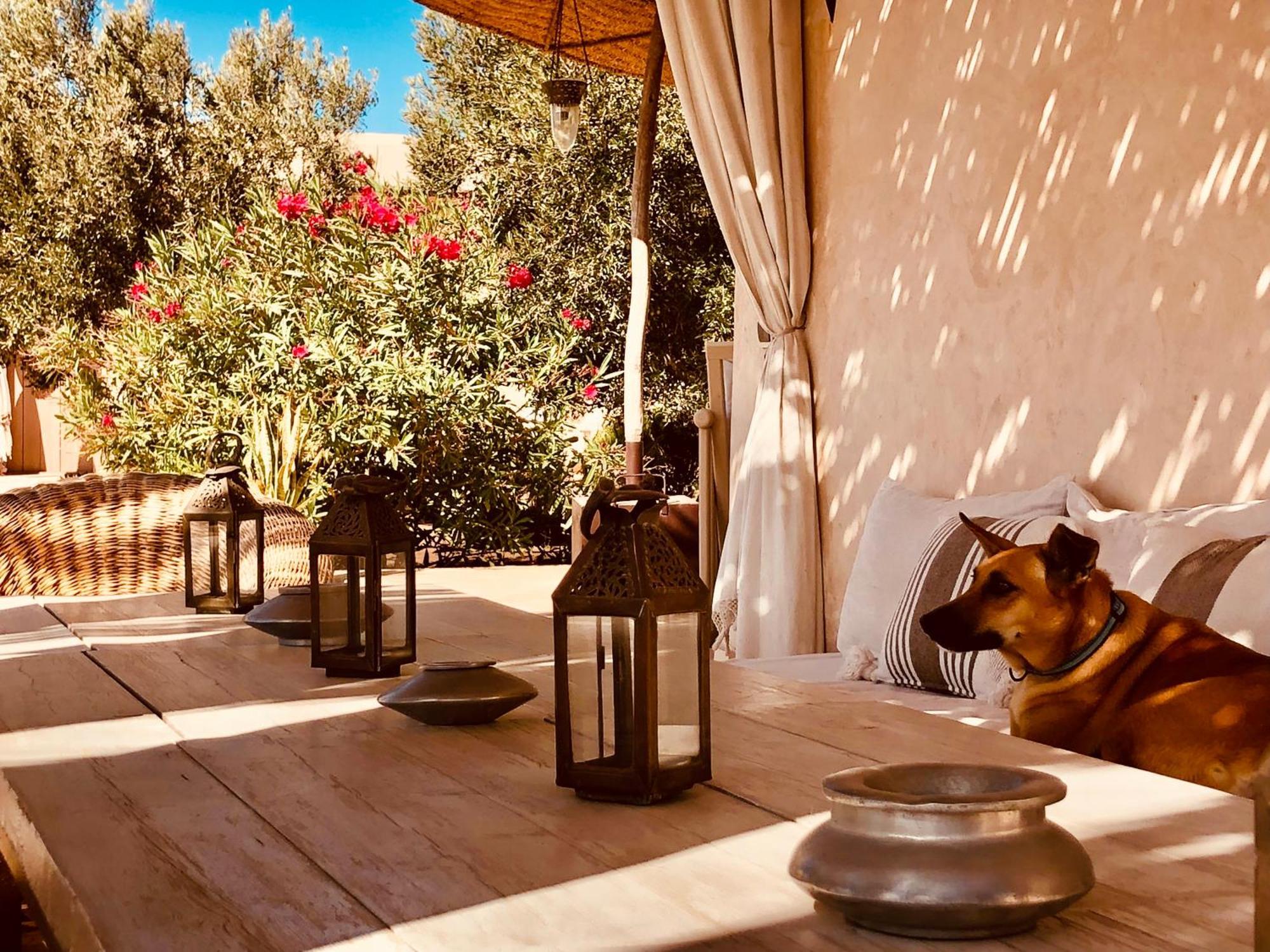 Dar Alya Essaouira Maison et table d'hôtes Al Ghar Extérieur photo