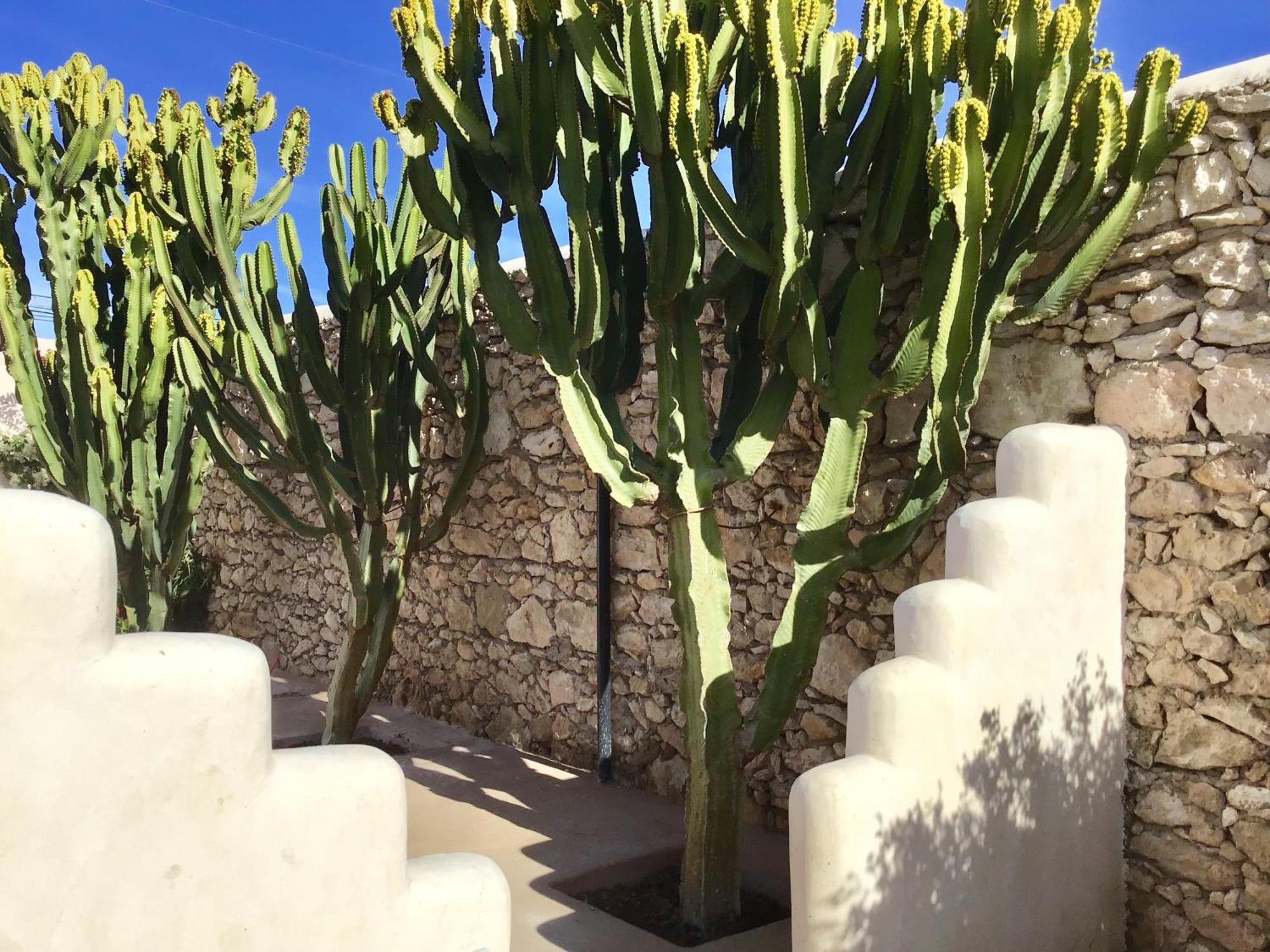 Dar Alya Essaouira Maison et table d'hôtes Al Ghar Extérieur photo