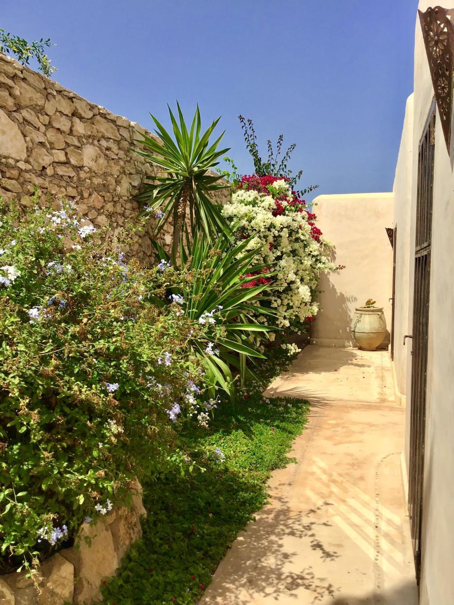 Dar Alya Essaouira Maison et table d'hôtes Al Ghar Extérieur photo
